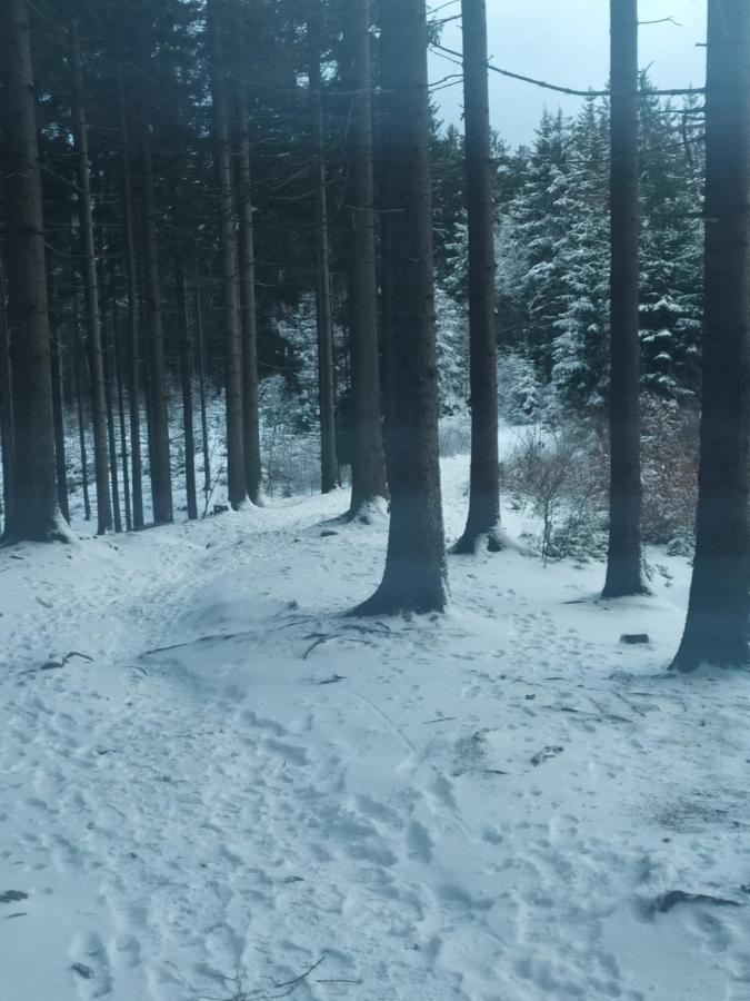 Penzion Bazalka Jablonec nad Nisou Εξωτερικό φωτογραφία