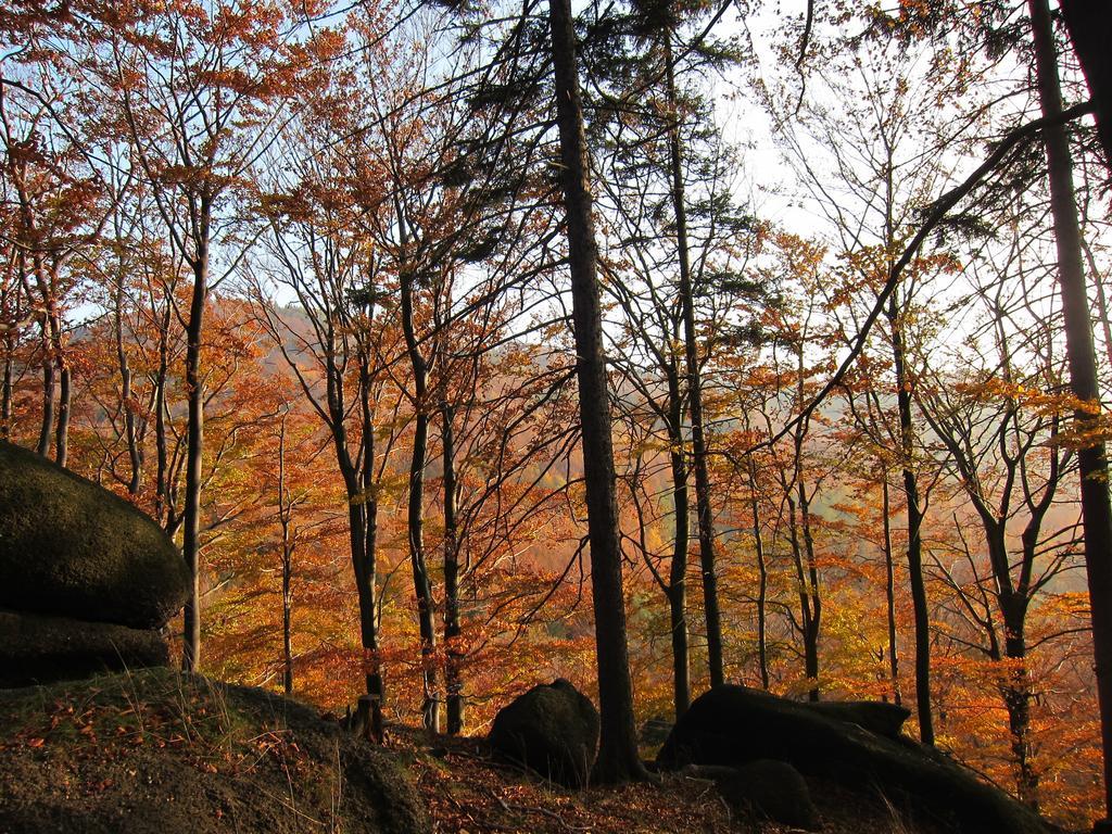 Penzion Bazalka Jablonec nad Nisou Εξωτερικό φωτογραφία